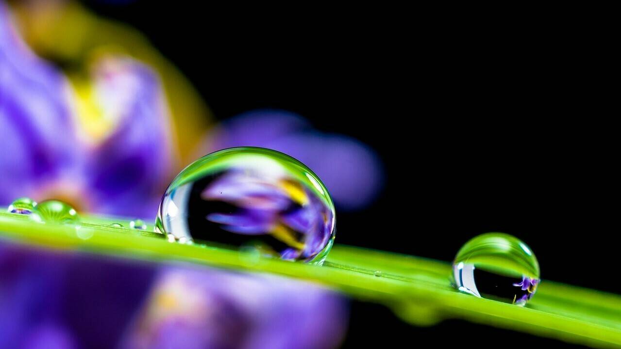 agua-gota|agua-niveles-acceso|agua